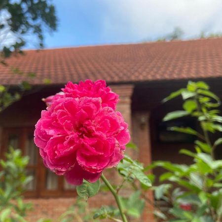 Ninh Binh Friendly Homestay Extérieur photo