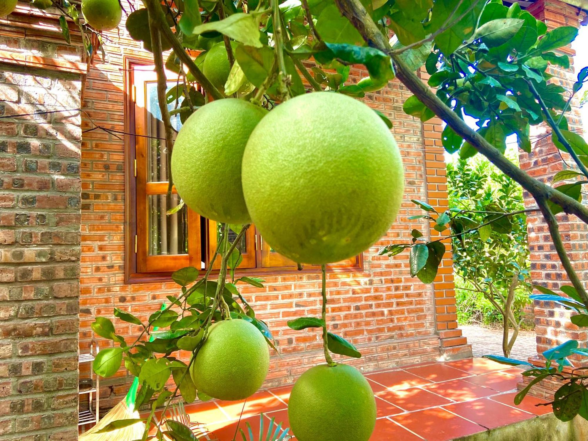 Ninh Binh Friendly Homestay Extérieur photo