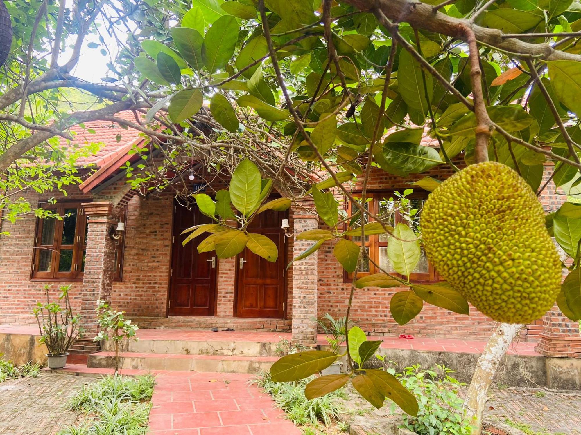 Ninh Binh Friendly Homestay Extérieur photo