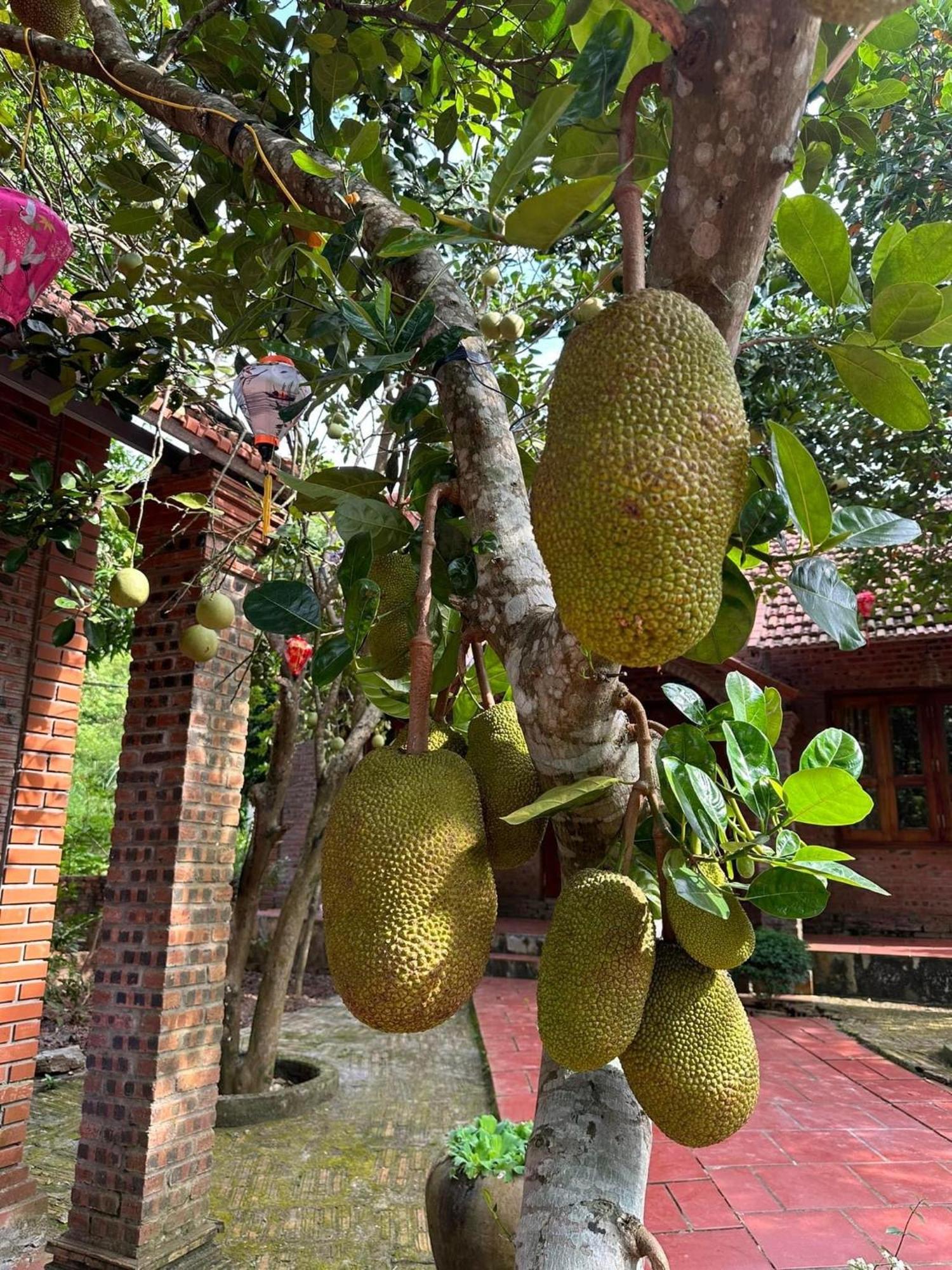 Ninh Binh Friendly Homestay Extérieur photo